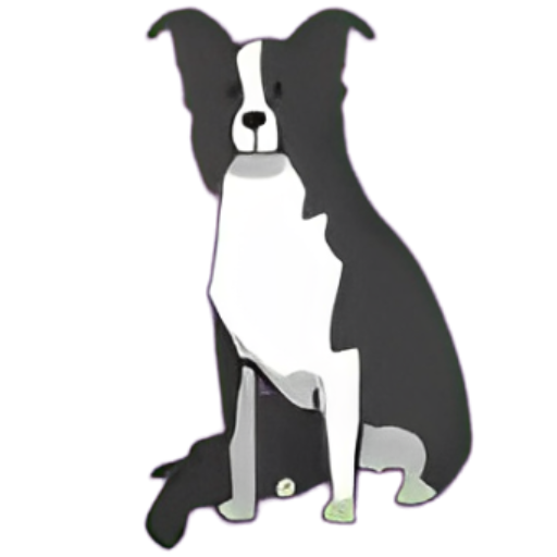 Medium Dog Price: R240